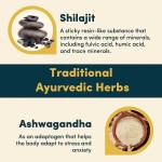 Shilajit Capsules Supplier - Pure Himalayan Fulvic Acid Ashwagandha