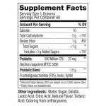 Probiotic Gummies Supplier - Organic Natural Berry Flavor Vegan