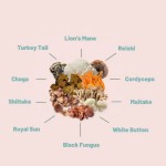 Mushroom Tincture Drops Manufacturer - Organic 8 in 1 Nootropic Formula