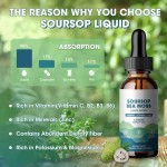 Sea Moss Liquid Drops Factory - Private Label Soursop Marine Biology
