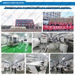 Spirulina Tablets Factory - 720 Non-GMO Vegan Organic Supplement