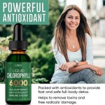 Chlorophyll Liquid Drink Manufacturer - Private Label Organic 500ml