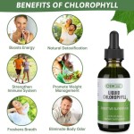 Chlorophyll Drops Supplier - OEM Organic Natural Energy Supplement