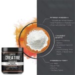 Creatine Monohydrate Powder Supplier - 99.5% Pure Muscle Growth Support