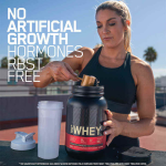 Whey Protein Powder Supplier - Gold Standard Chocolate Bulk Nutrition