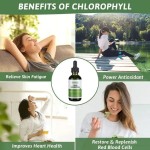 Chlorophyll Drops Supplier - OEM Organic Natural Energy Supplement