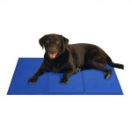 Pet Cool Mat Manufacturer - Best Selling Self Cooling Pad