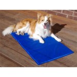 Pet Cooling Mat Manufacturer - 2024 Promotion Gel Mat
