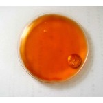 Instant Hand Warmer Factory - Hot Selling 2022 Heating Pack