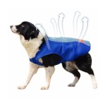 Dog Cool Clothes Supplier - Essential Cold Clothes Summer