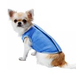 Dog Cool Clothes Supplier - Essential Cold Clothes Summer