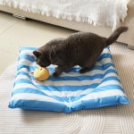 Blue Cooling Mat Manufacturer - Self Cooling Gel Material