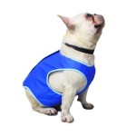 Dog Cool Clothes Supplier - Essential Cold Clothes Summer