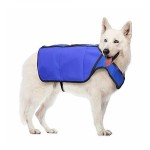 Dog Cool Clothes Supplier - Essential Cold Clothes Summer