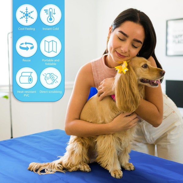 Pet Cooling Pad Manufacturer - Portable Gel Mat Blue