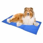 Pet Cool Mat Manufacturer - Best Selling Self Cooling Pad