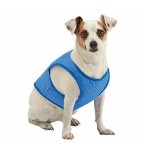 Dog Cool Clothes Supplier - Essential Cold Clothes Summer