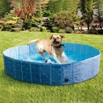 Pet Swimming Pool Manufacturer - Professional Promotion Price