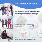 Click Hand Warmer Supplier - Instant Reusable Camping Hiking Gear