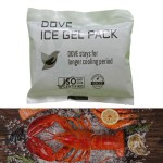 Custom Logo Ice Pack Manufacturer - Eco Friendly Food Delivery Pack