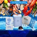 Long Lasting Gel Pack Manufacturer - Safe Transport for Food Medical