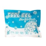 Custom Logo Ice Pack Manufacturer - Eco Friendly Food Delivery Pack