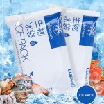 Custom Logo Ice Pack Manufacturer - Eco Friendly Food Delivery Pack