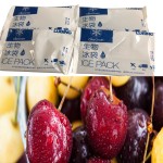 Seafood Ice Pack Factory - Gel Phase Change Material for Shipping