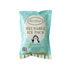 Food Ice Pack Factory - Gel Dry Ice for Transport Cooler