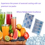 Custom Logo Ice Pack Manufacturer - Eco Friendly Food Delivery Pack