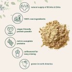 Organic 100% Vanilla Milk Raw Whey Protein Isolate Powder Gluten-Free Gold Standard Adult Whey Protein Powder for Pregnant Women
