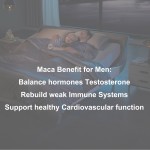 OEM Private Label Herbal Premium Butt Booster Capsule Black Pepper Blend Long-Lasting Endurance Vegan Maca Root Supplement