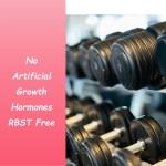 无麸质乳清蛋白粉1.5公斤/桶运动营养-加速肌肉形成和能量供应