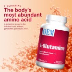 OEM L-glutamine Tablets 100 Tablets Protect Muscle Tissue and Support Immune Function