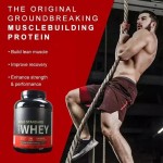 Organic 100% Vanilla Milk Raw Whey Protein Isolate Powder Gluten-Free Gold Standard Adult Whey Protein Powder for Pregnant Women