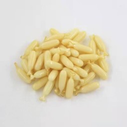Collagen Capsules Are Rich in Vitamins and Protein