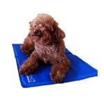 Dog Cooling Mat Supplier - Factory Good Sale Summer