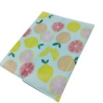 Water Bottle Cooler Factory - Fruit Print Portable