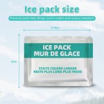 Diabetic Ice Pack Supplier - Reusable Promo Storage Insuline
