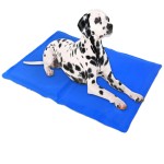 Pet Cooling Mat Supplier - Reusable Hot Cold Gel Pad