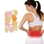 Waist Patch Manufacturer - OEM Service Disposable Adhesive Heat