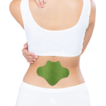 Knee Pain Plaster Manufacturer - OEM Herbal Ingredients Fast Effect