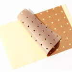 Capsicum Plaster Manufacturer - OEM Service Tiger Adhesive Instant