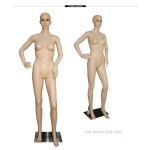 Full-body Model Supplier - Realistic Mannequin Factory