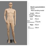 Abstract Male Model Manufacturer - Plastic Dummy Stand