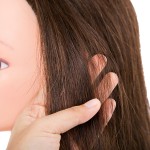 Hairdresser Mannequin Head Manufacturer - Training Practice Head