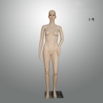 Full-body Model Supplier - Realistic Mannequin Factory