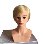 Training Head Factory - Professional Practice Head