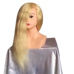 Training Head Factory - Professional Practice Head