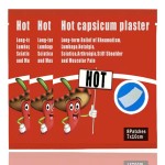 Capsicum Pain Relief Plaster Factory - OEM Traditional Chinese Formula
